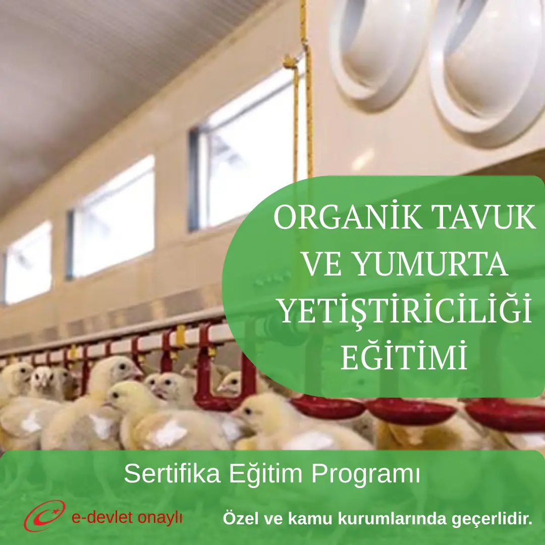 ORGANİK TAVUK VE YUMURTA YETİŞTİRİCİLİĞİ EĞİTİMİ