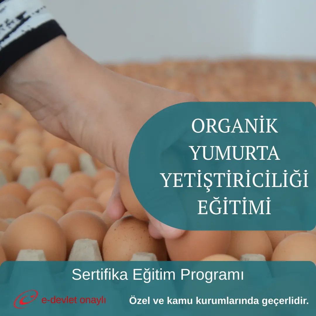 ORGANİK YUMURTA YETİŞTİRİCİLİĞİ EĞİTİMİ