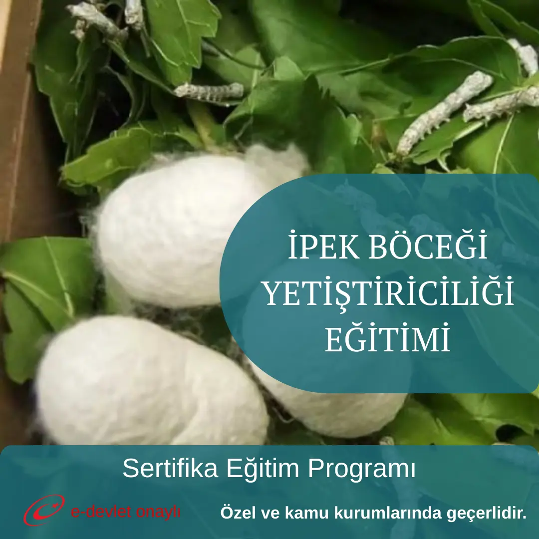 İPEK BÖCEĞİ YETİŞTİRİCİLİĞİ EĞİTİMİ