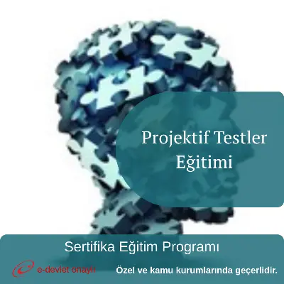 Projektif Testler Eğitimi
