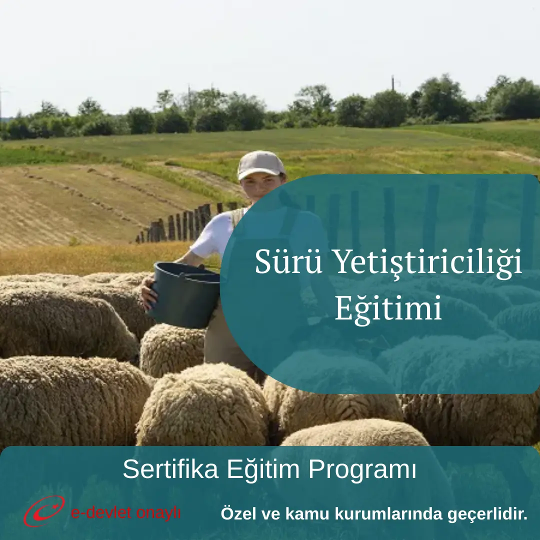 Sürü Yetiştiriciliği Eğitimi