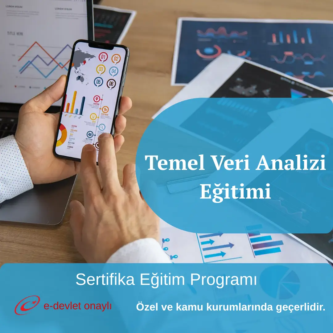 Temel Veri Analizi Eğitimi
