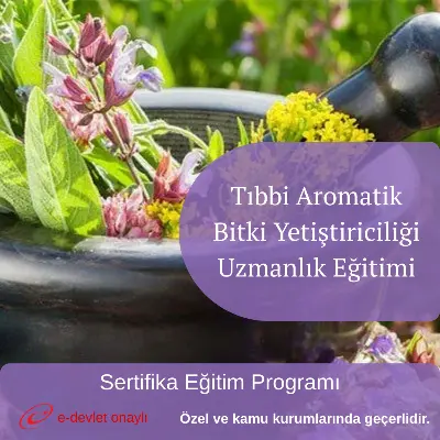 Tıbbi Aromatik Bitki Yetiştiriciliği Uzmanlık Eğitimi