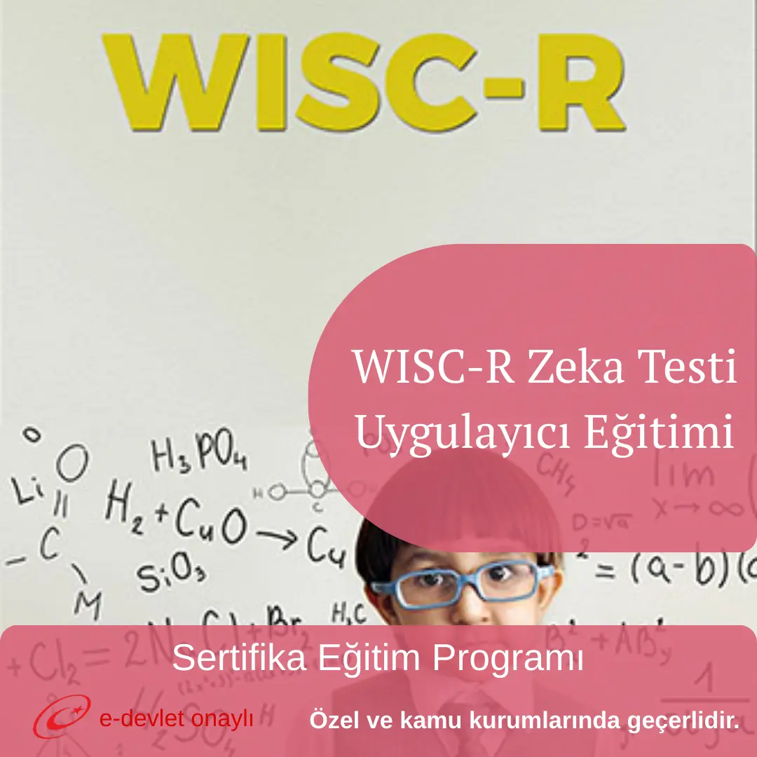 WISC-R Zeka Testi Uygulayıcı Eğitimi