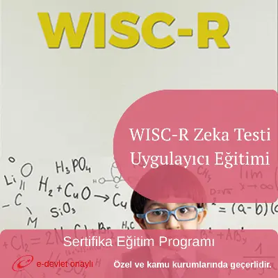 WISC-R Zeka Testi Uygulayıcı Eğitimi