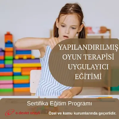 YAPILANDIRILMIŞ OYUN TERAPİSİ UYGULAYICI EĞİTİMİ
